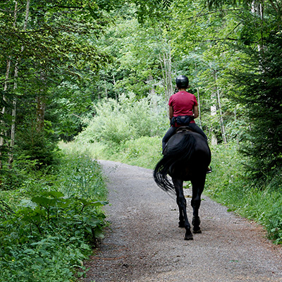 Trail Guides: Helpful Advice for Buying and Selling Real Estate in Colorado